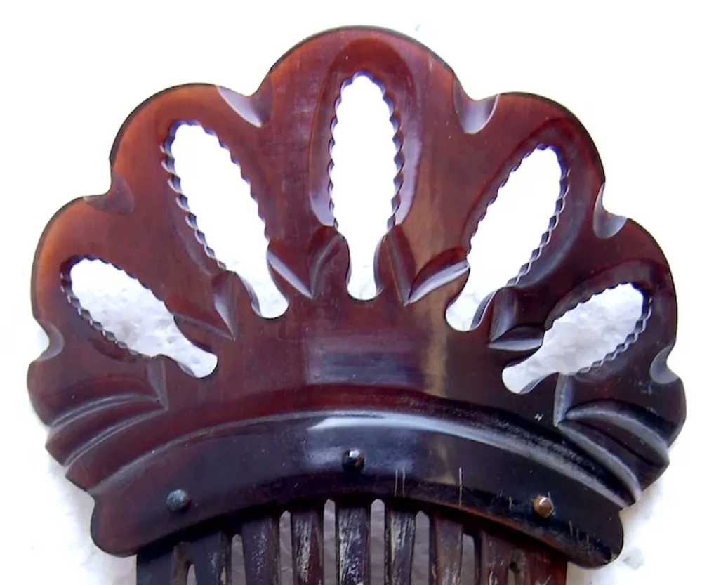 Victorian steer horn hair comb Spanish mantilla s… - image 3