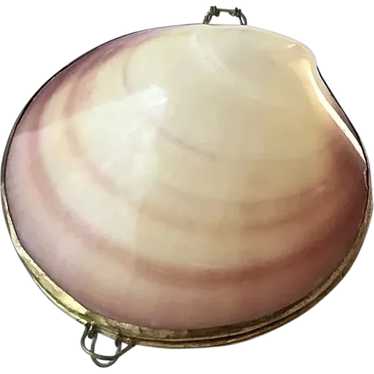 Natural Seashell Case - image 1