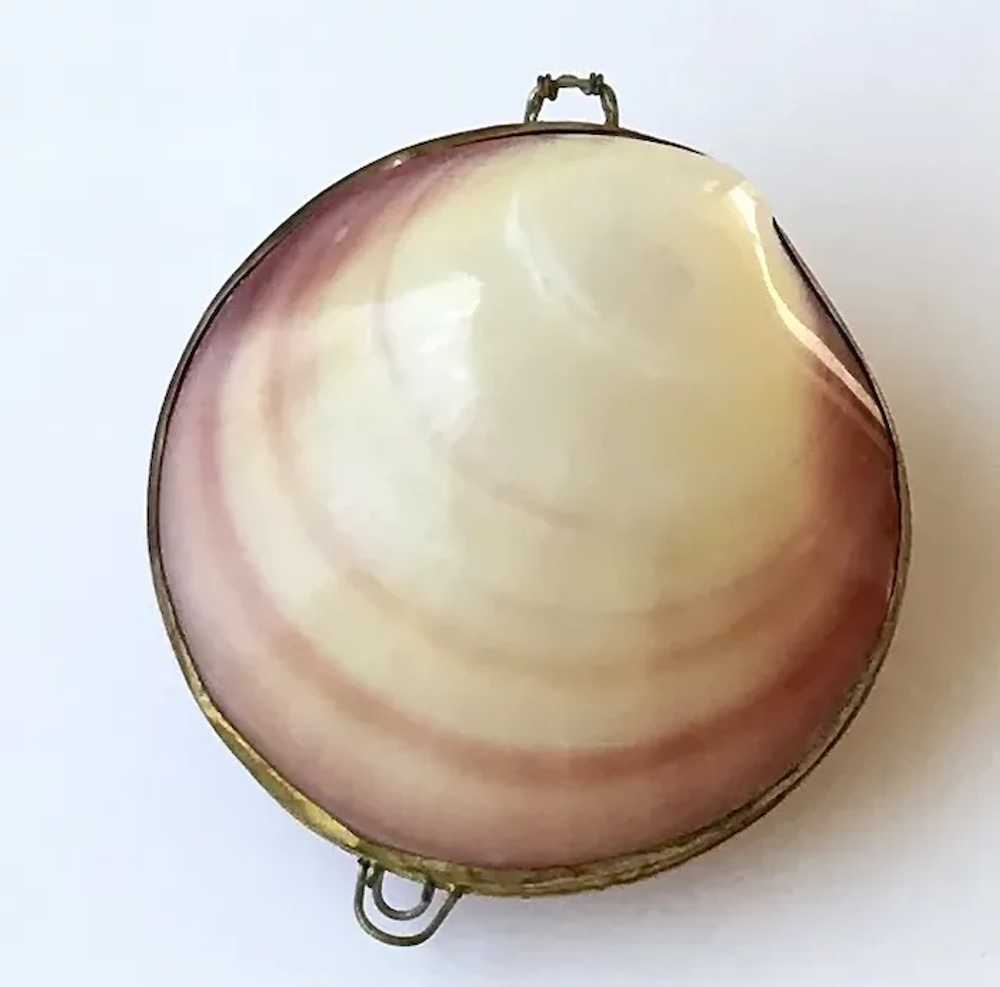 Natural Seashell Case - image 2