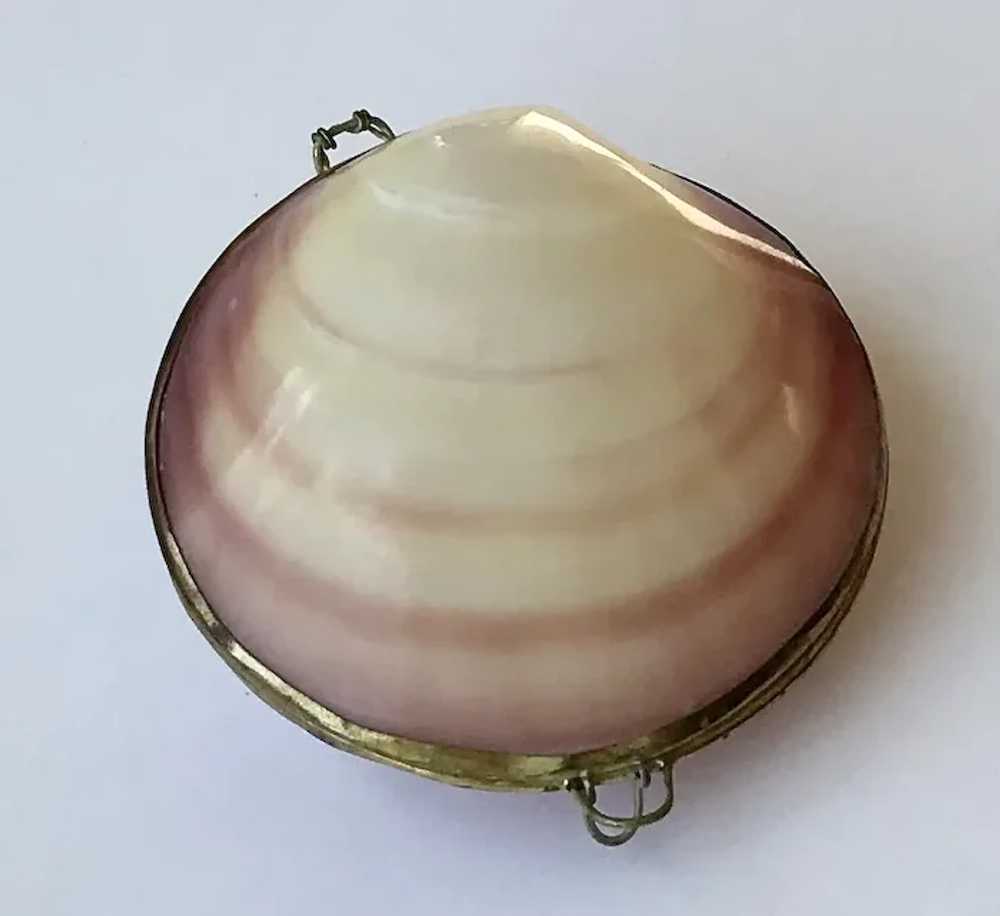 Natural Seashell Case - image 3