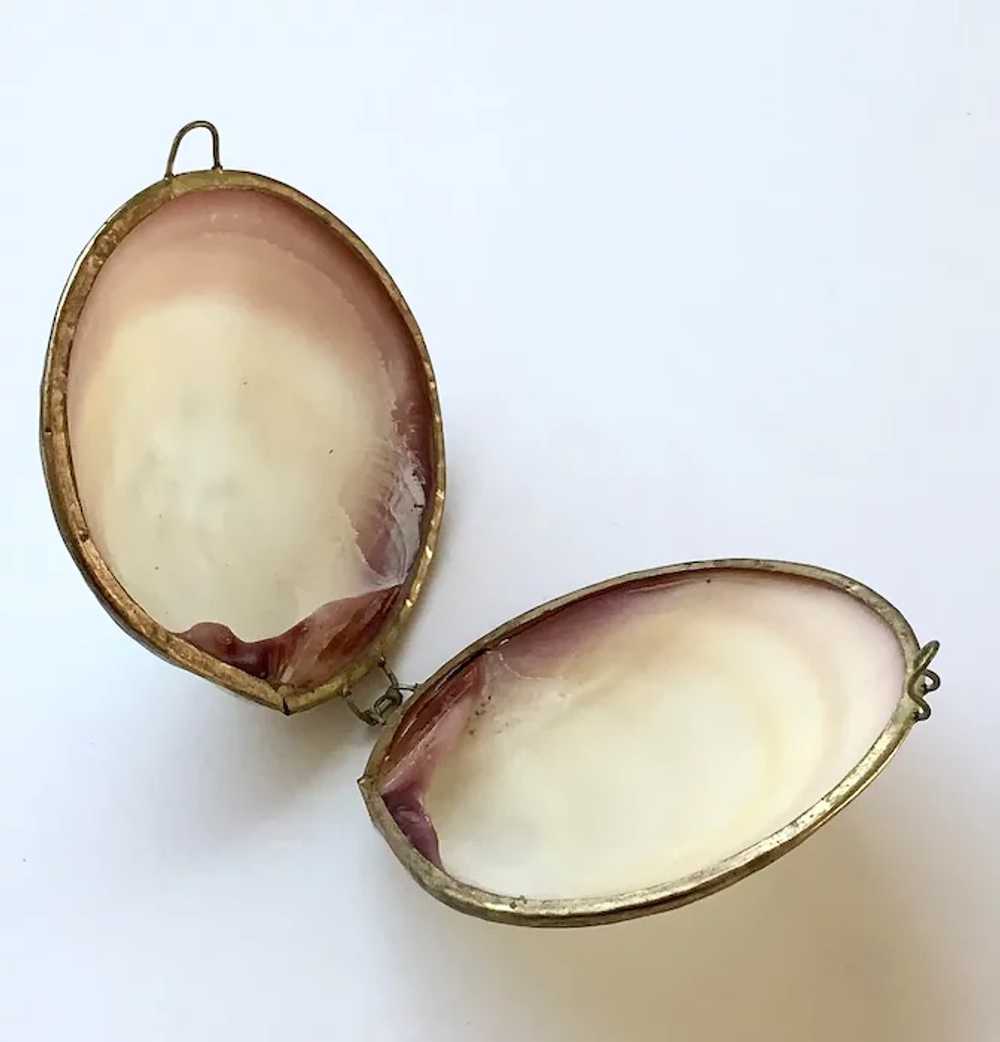 Natural Seashell Case - image 4