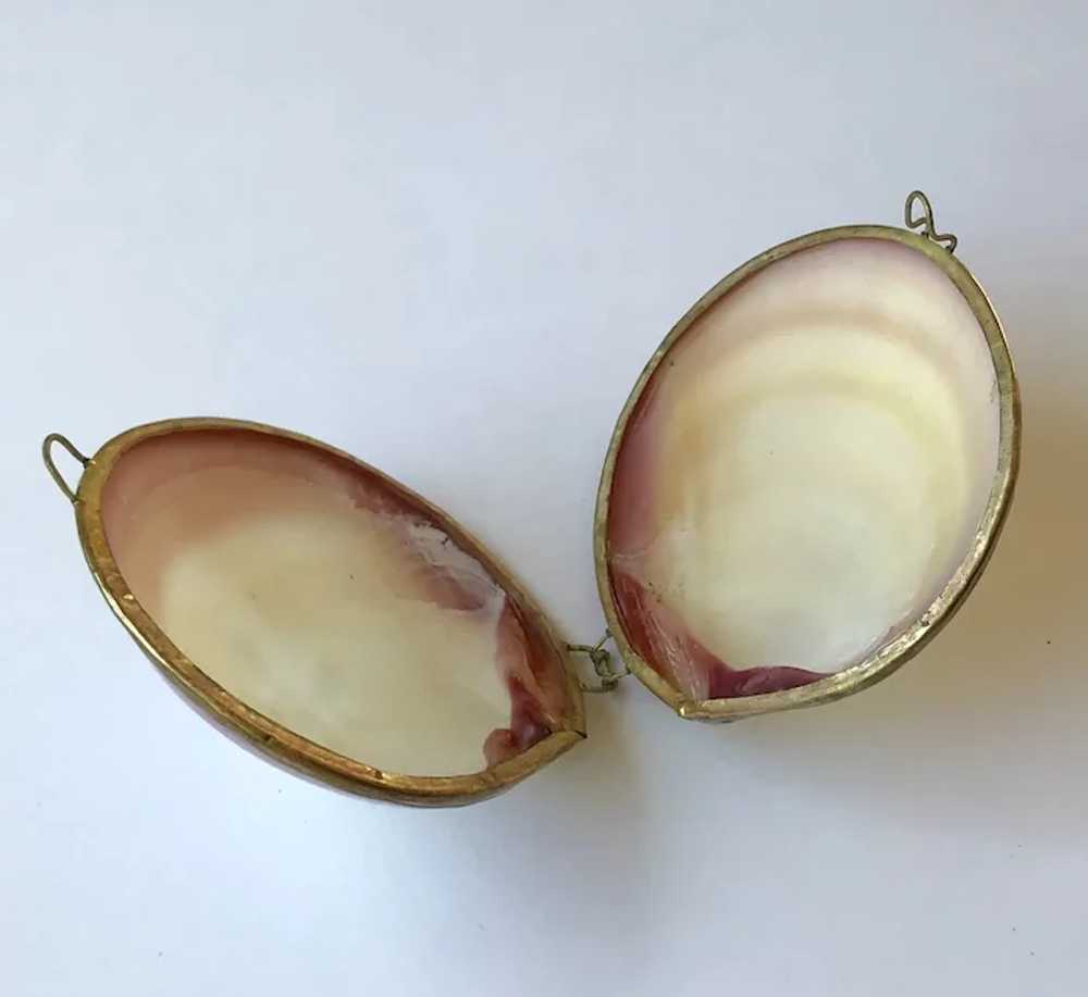 Natural Seashell Case - image 5