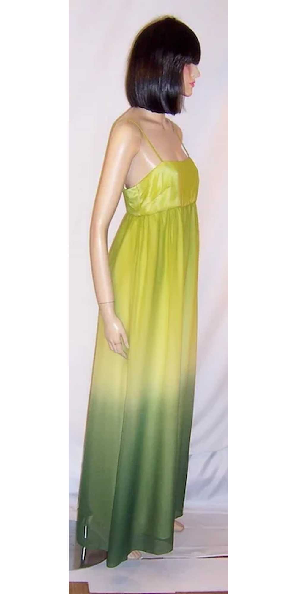 Simple Chartreuse Chiffon Empire Gown with Ombre … - image 2