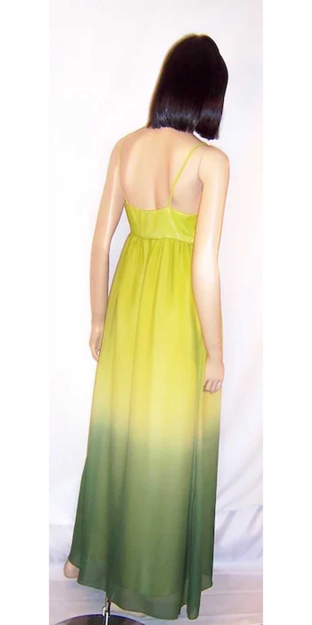 Simple Chartreuse Chiffon Empire Gown with Ombre … - image 3
