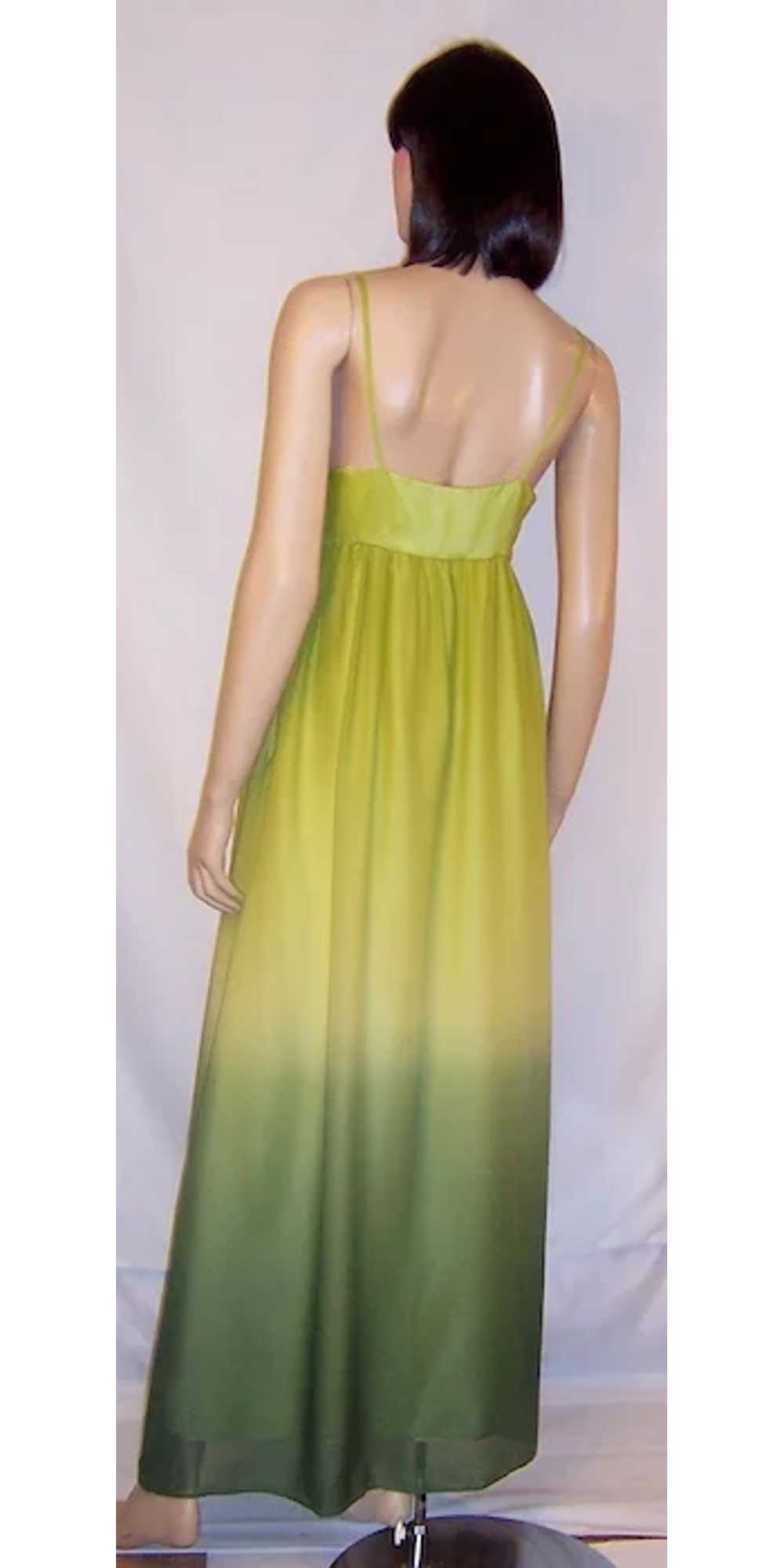 Simple Chartreuse Chiffon Empire Gown with Ombre … - image 4