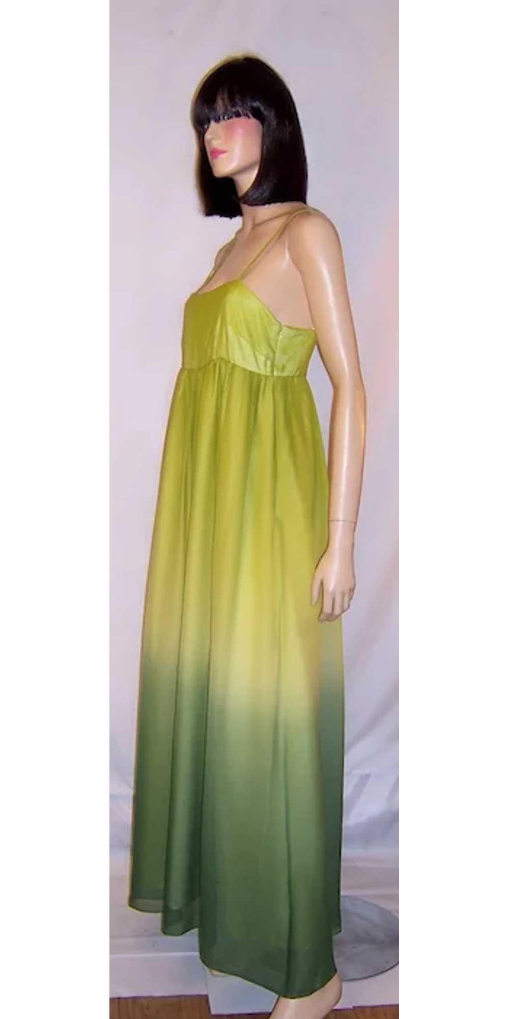 Simple Chartreuse Chiffon Empire Gown with Ombre … - image 5