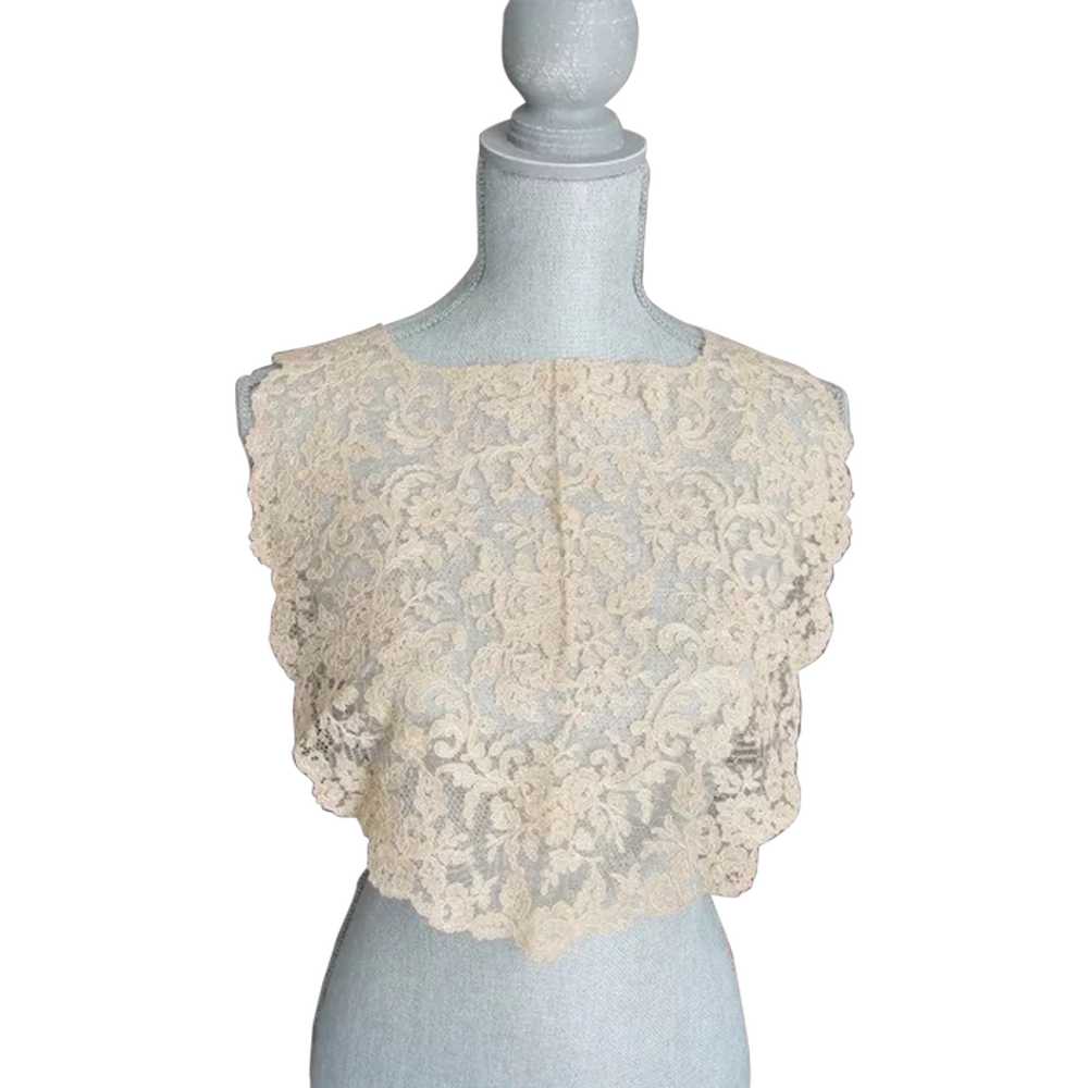 BEAUTIFUL Large Antique FRENCH LACE Collar,Tambou… - image 1