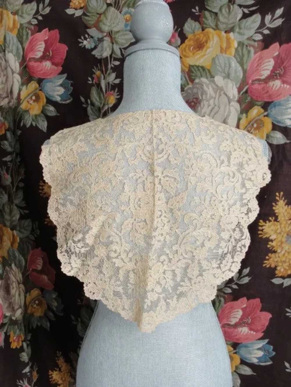 BEAUTIFUL Large Antique FRENCH LACE Collar,Tambou… - image 2