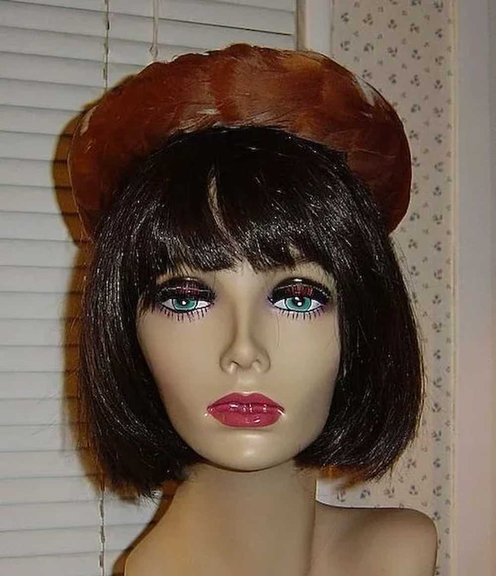 Vintage 1950's Elegant Brown and White Feather Hat - image 3