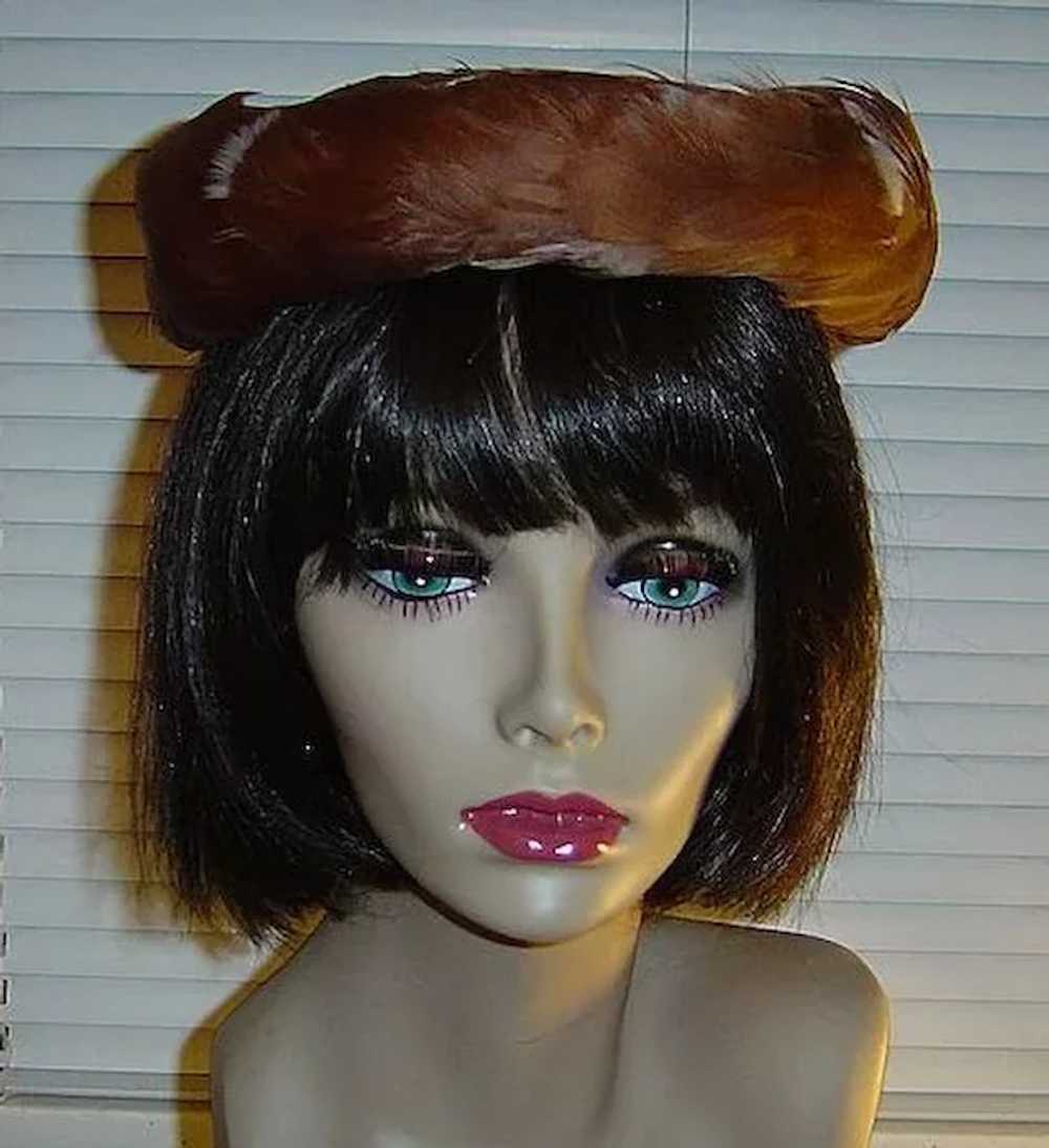 Vintage 1950's Elegant Brown and White Feather Hat - image 4