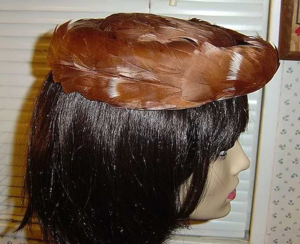 Vintage 1950's Elegant Brown and White Feather Hat - image 5