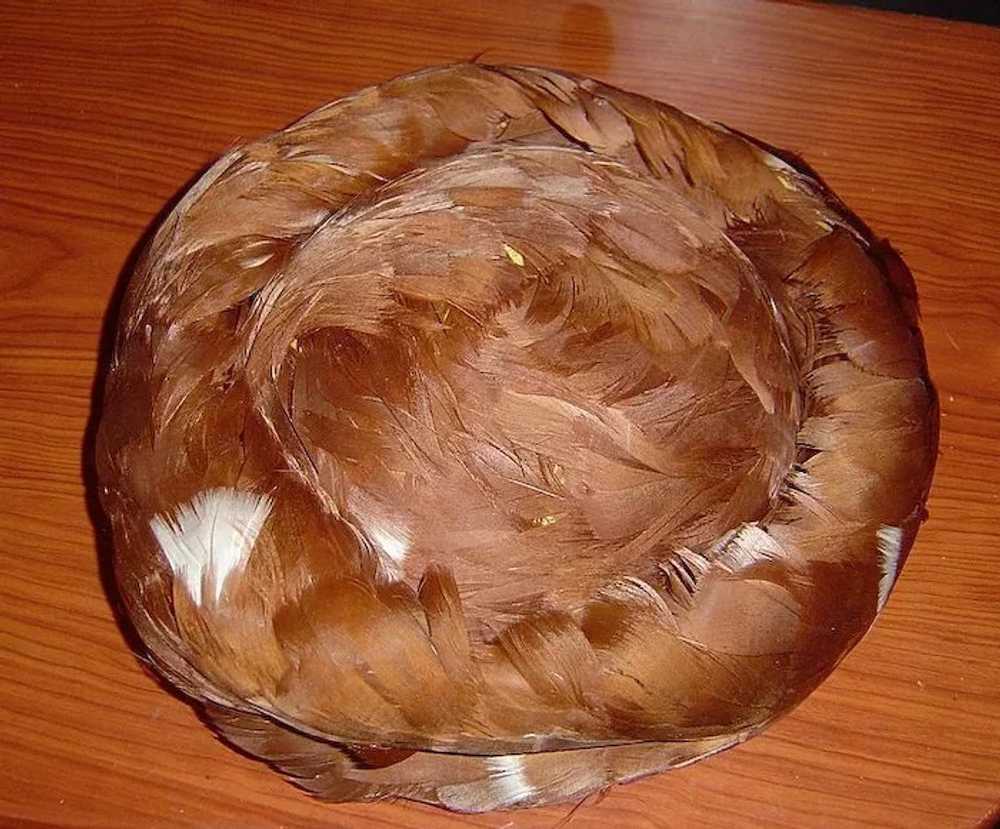 Vintage 1950's Elegant Brown and White Feather Hat - image 6