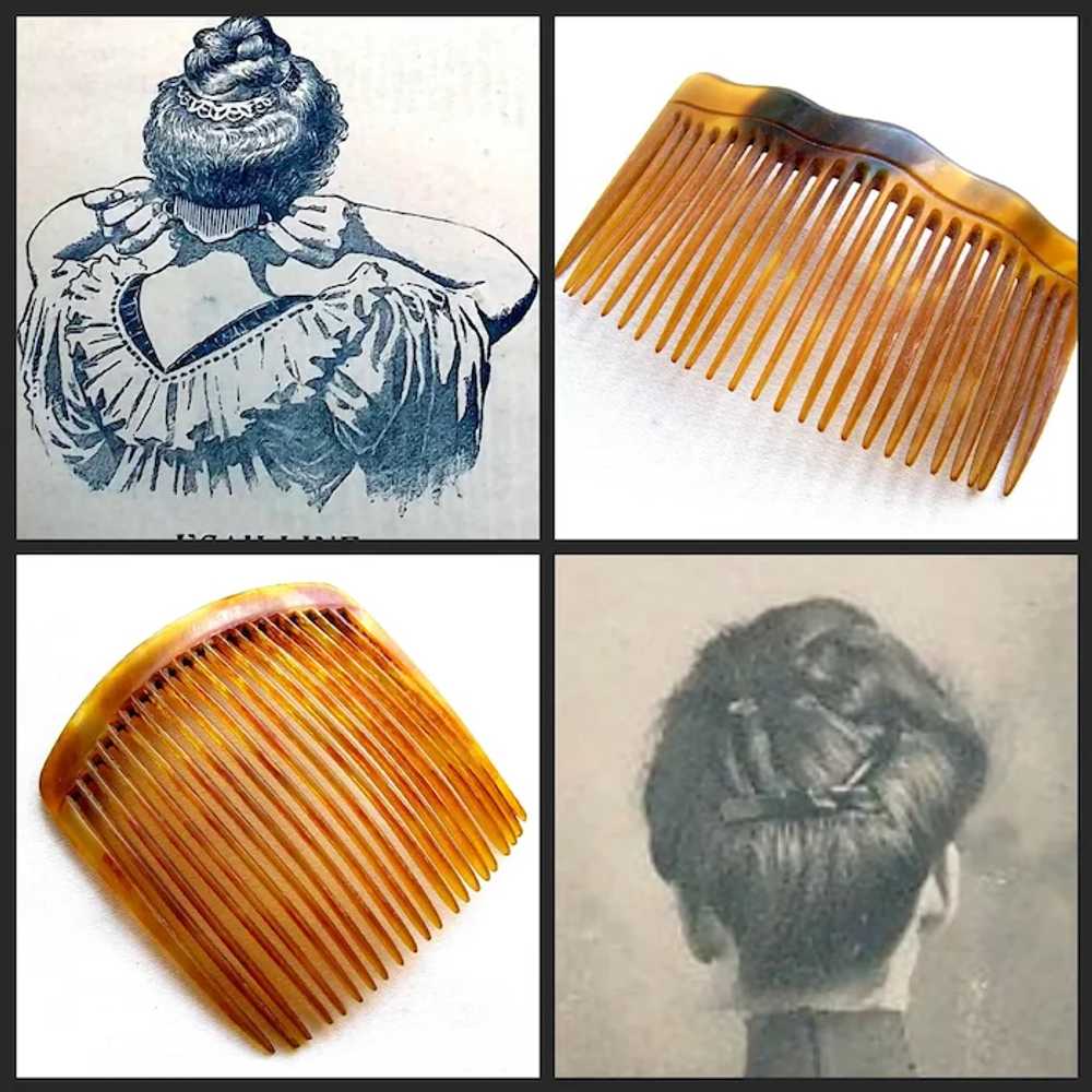 Three Victorian practical hair combs steer horn h… - image 10