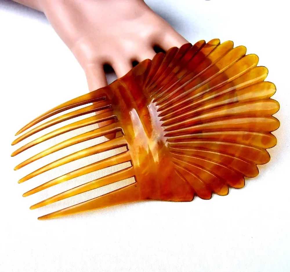 Victorian hair comb amber dyed steer horn Spanish… - image 2