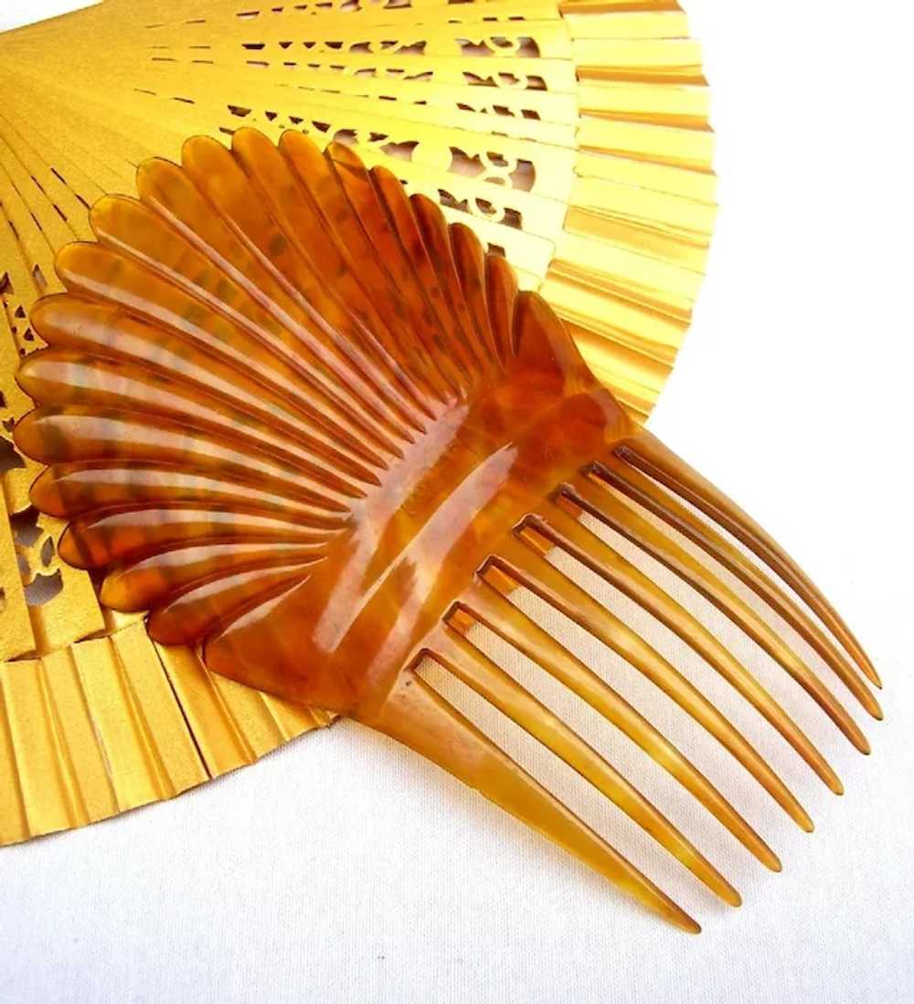 Victorian hair comb amber dyed steer horn Spanish… - image 5