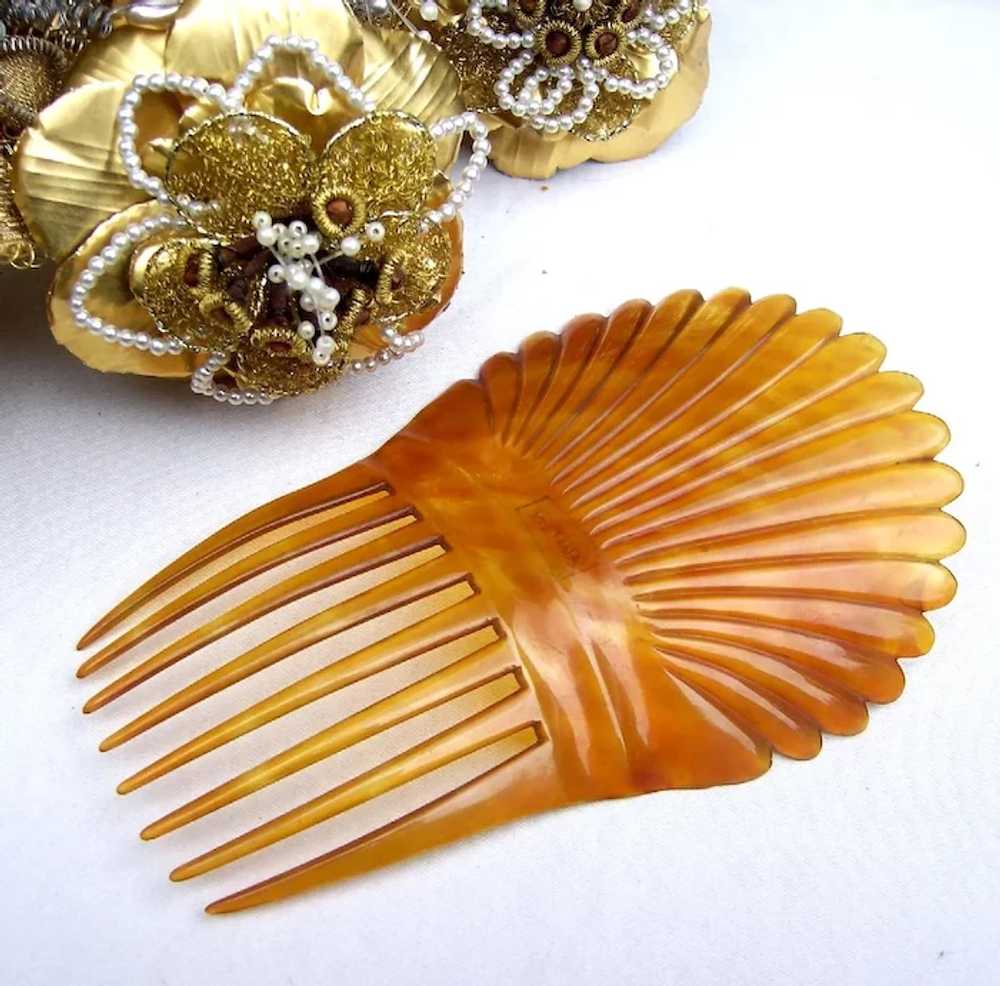 Victorian hair comb amber dyed steer horn Spanish… - image 6