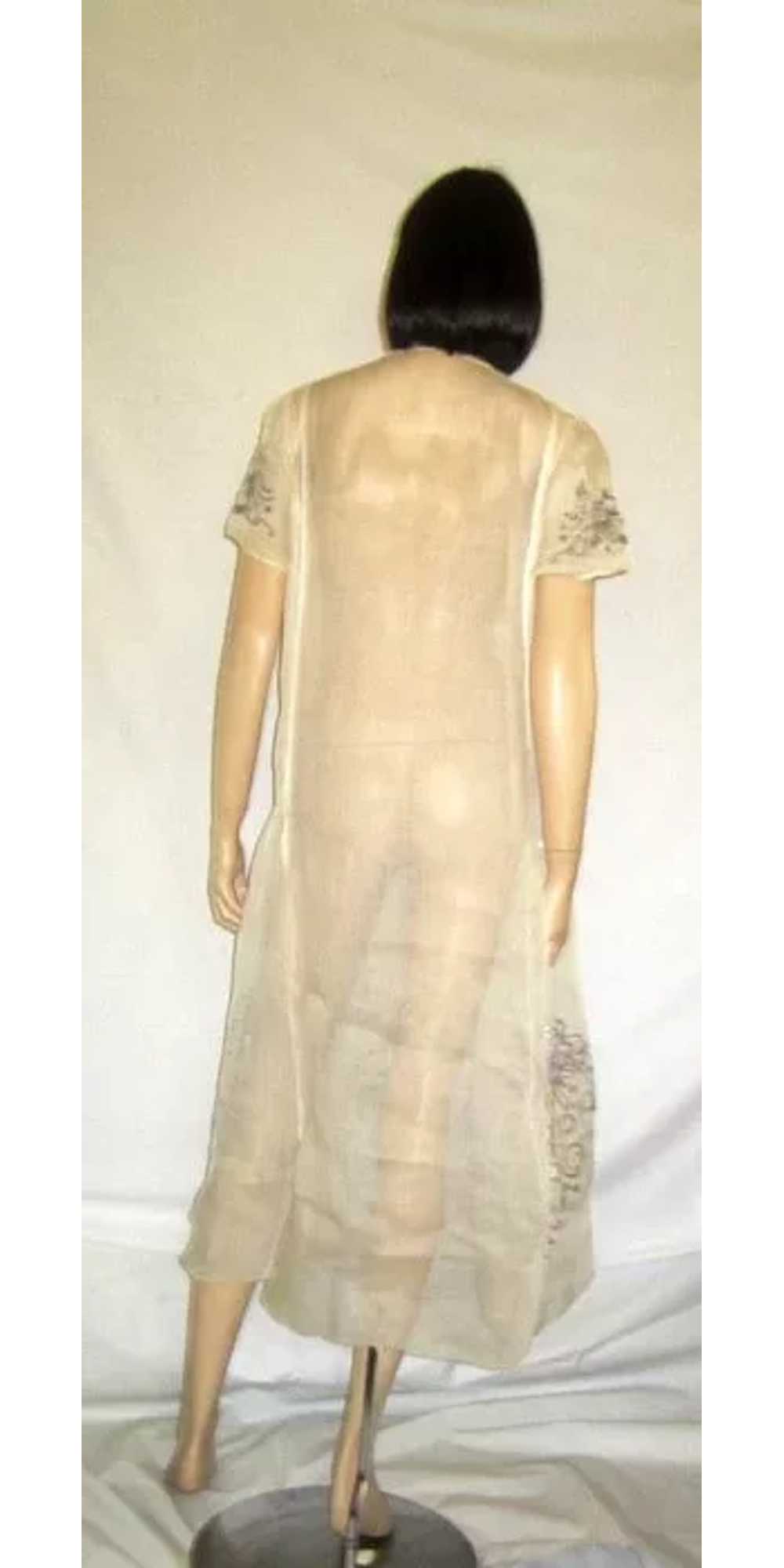 1920's Hungarian White Voile Summertime Embroider… - image 3
