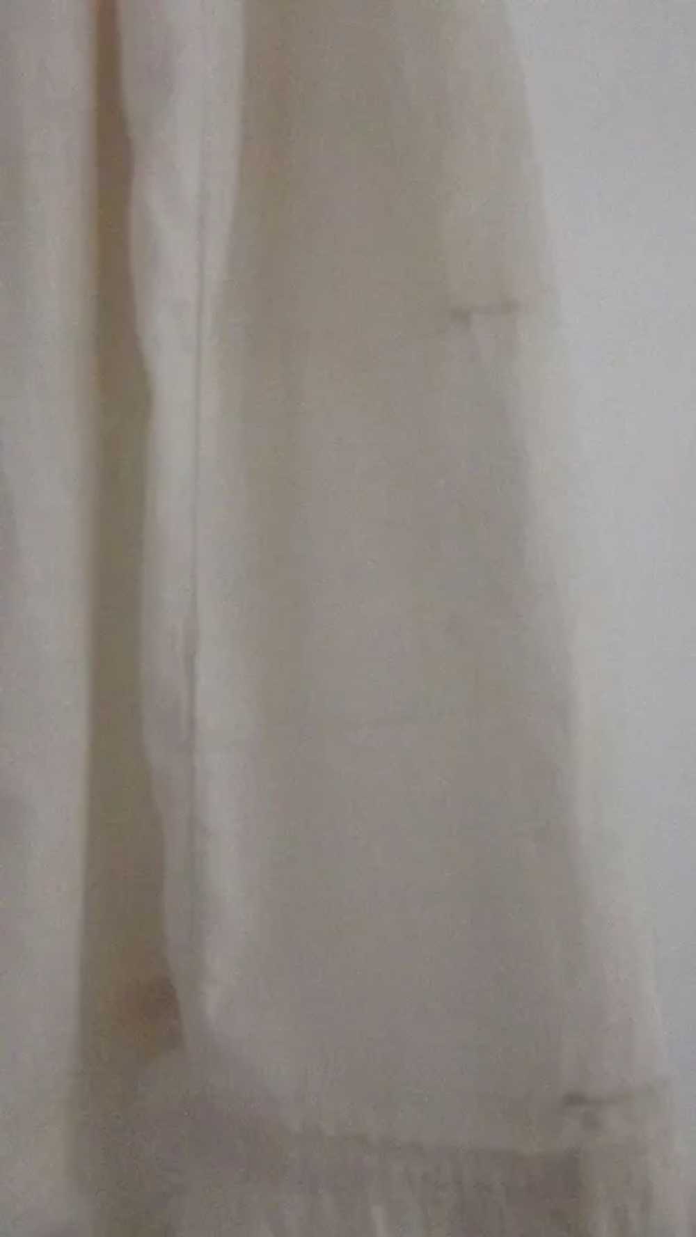 Victorian Petticoat - image 3
