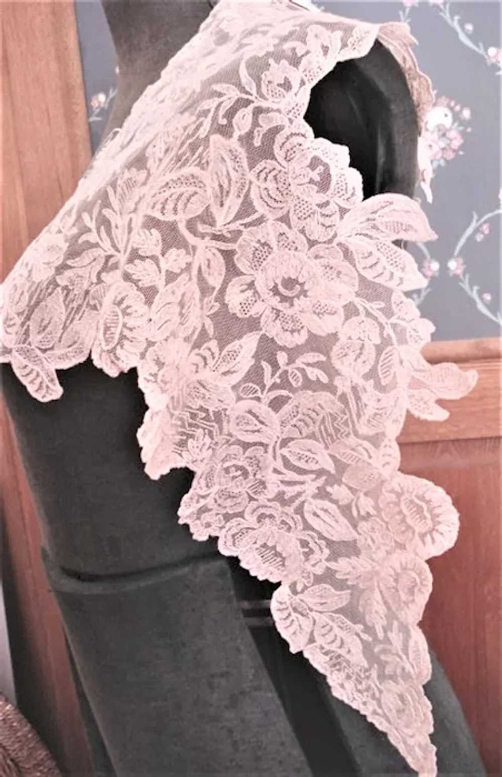 Breathtaking Antique FRENCH LACE Capelet,Collar,T… - image 2