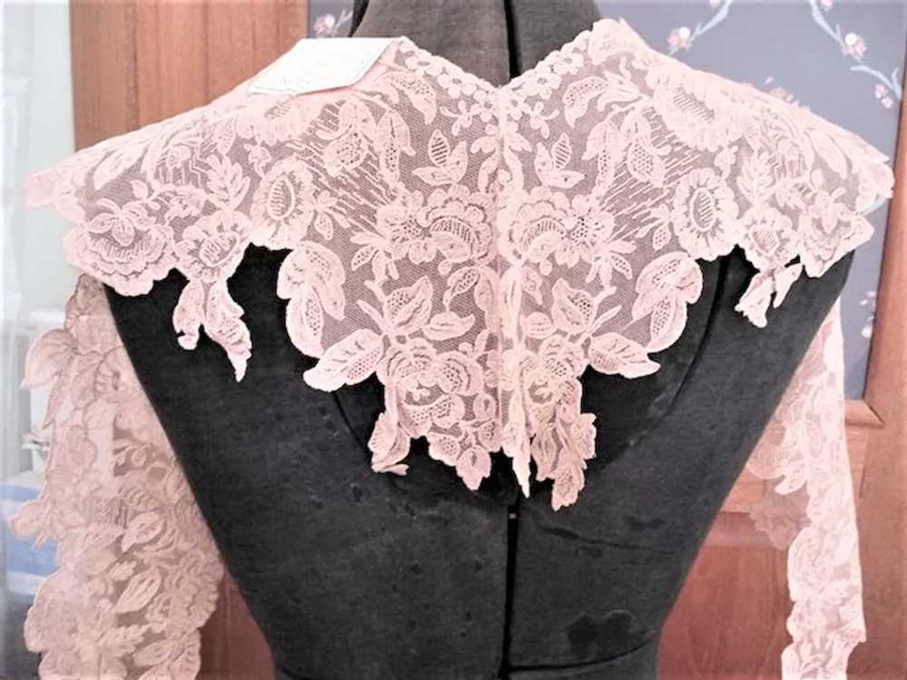 Breathtaking Antique FRENCH LACE Capelet,Collar,T… - image 3