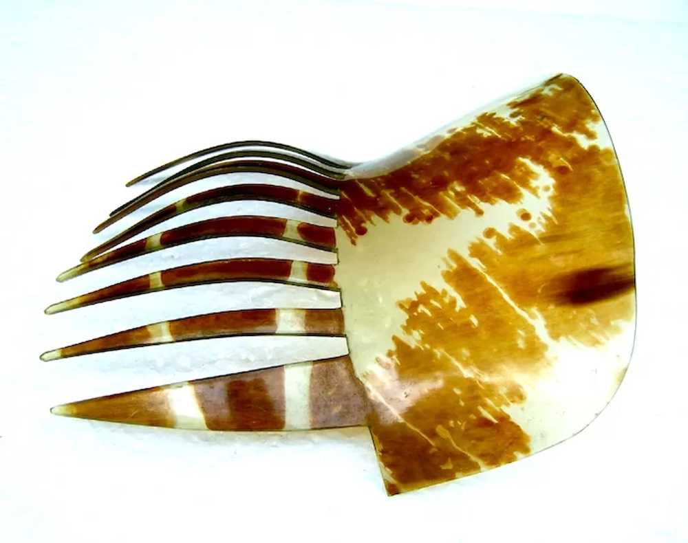 Victorian steer horn hair comb Spanish mantilla s… - image 10