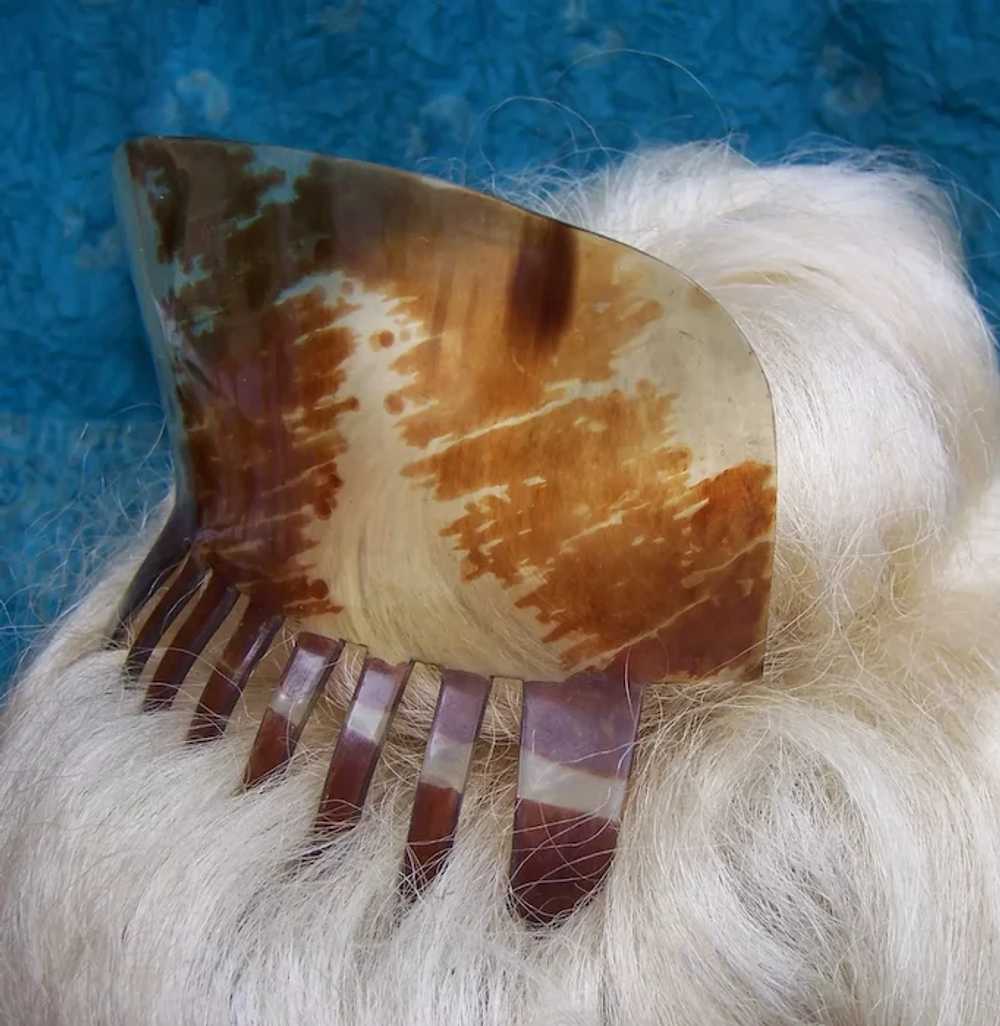 Victorian steer horn hair comb Spanish mantilla s… - image 11