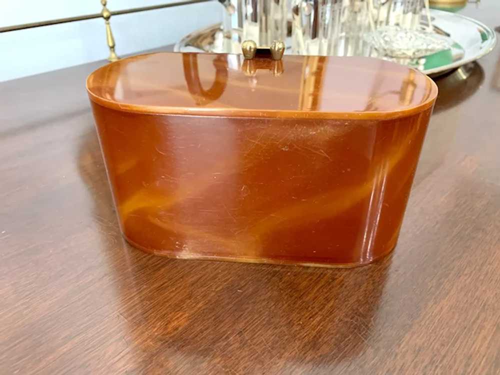 1950s Wilardy Marbled Butterscotch Lucite Purse - image 5