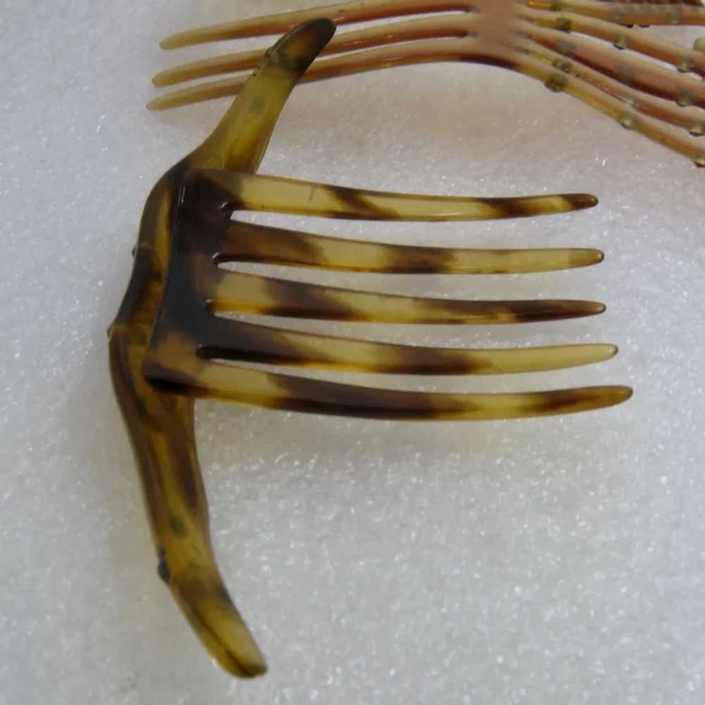 Collection 6 Vintage Celluloid Hair Combs 1920-30s - image 10
