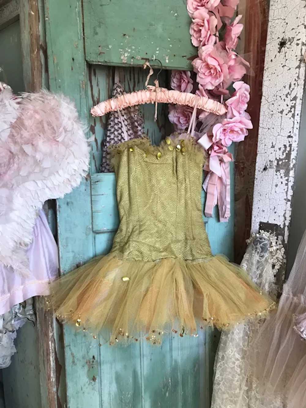 Bella Bordello Vintage Ballet Tutu Costume Dress … - image 2