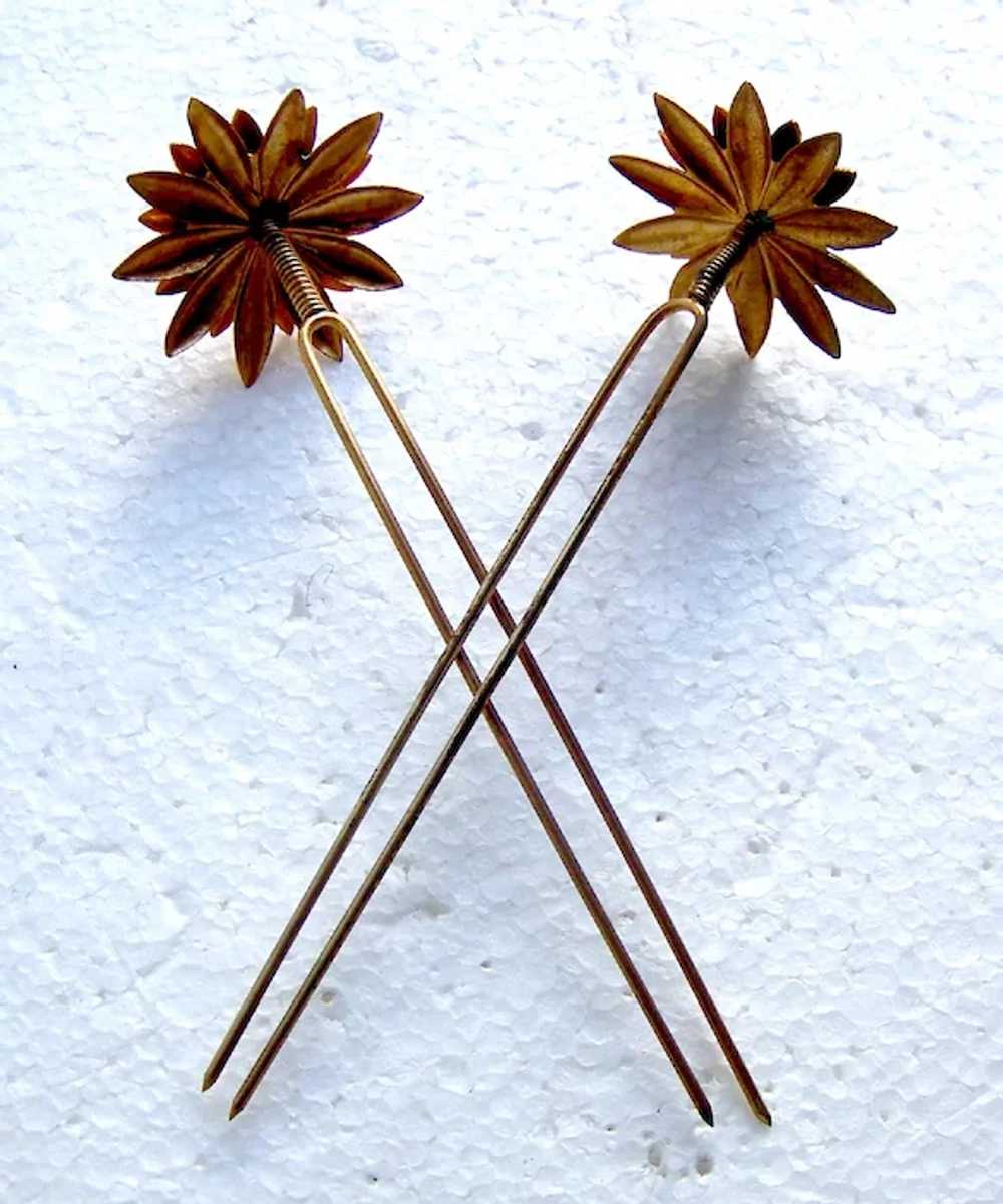 Matched pair Victorian star shaped hair pins poli… - image 12