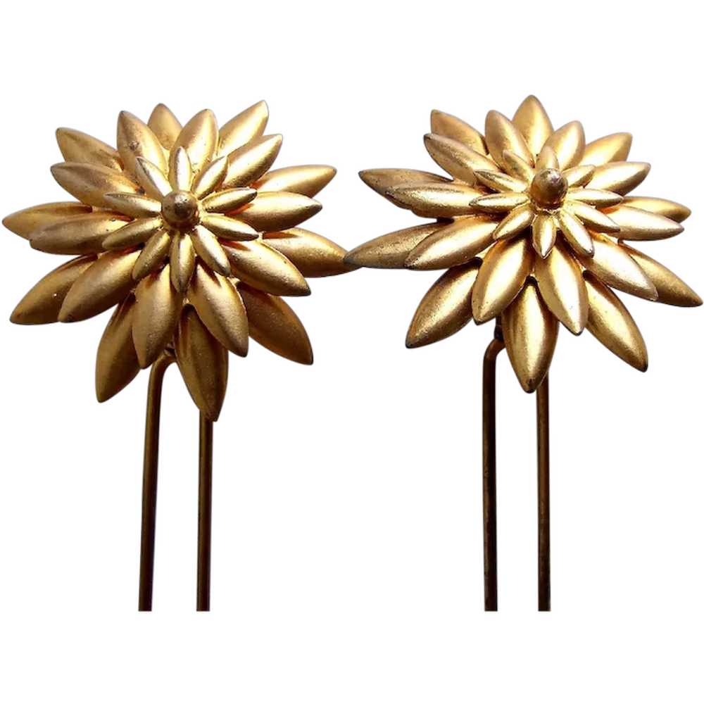 Matched pair Victorian star shaped hair pins poli… - image 1