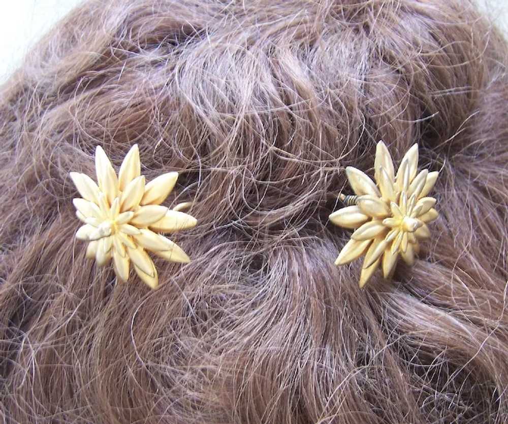 Matched pair Victorian star shaped hair pins poli… - image 3