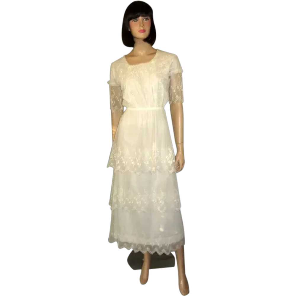 White Edwardian Tea Gown on Fine Netting with Tie… - image 1