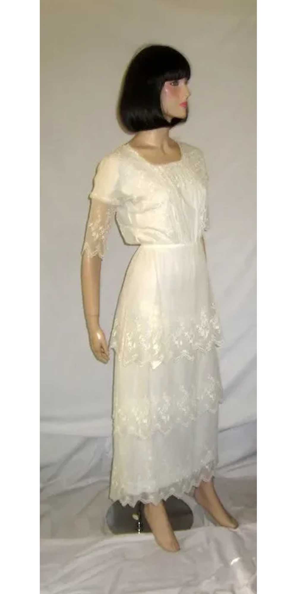 White Edwardian Tea Gown on Fine Netting with Tie… - image 2