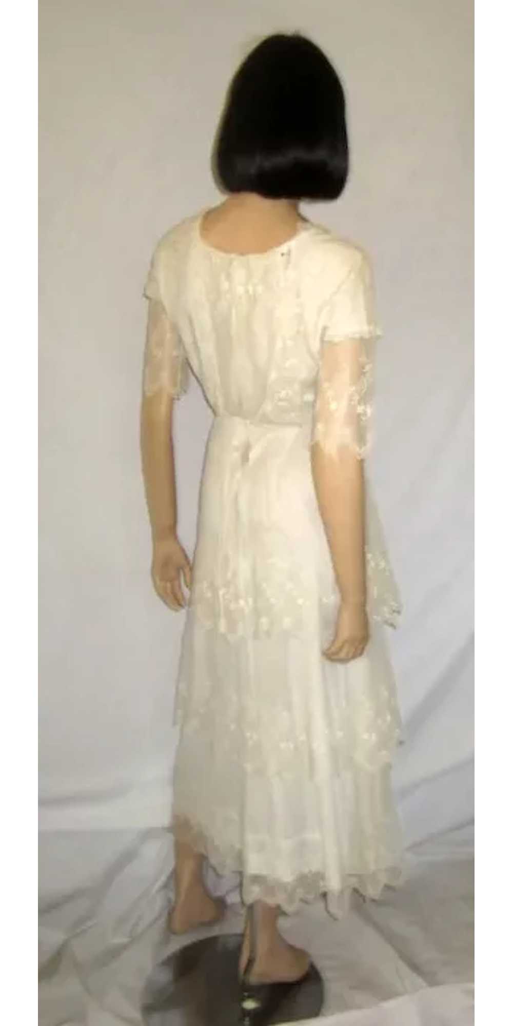 White Edwardian Tea Gown on Fine Netting with Tie… - image 3