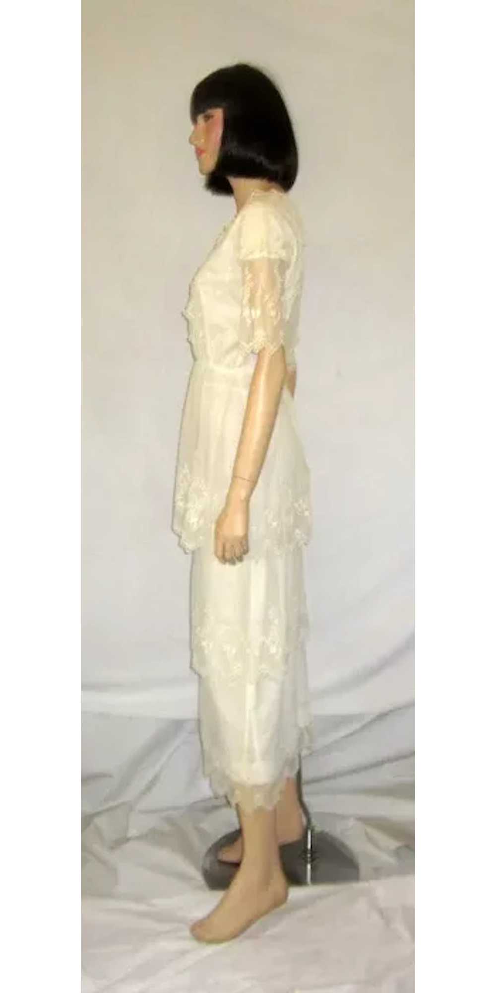 White Edwardian Tea Gown on Fine Netting with Tie… - image 4