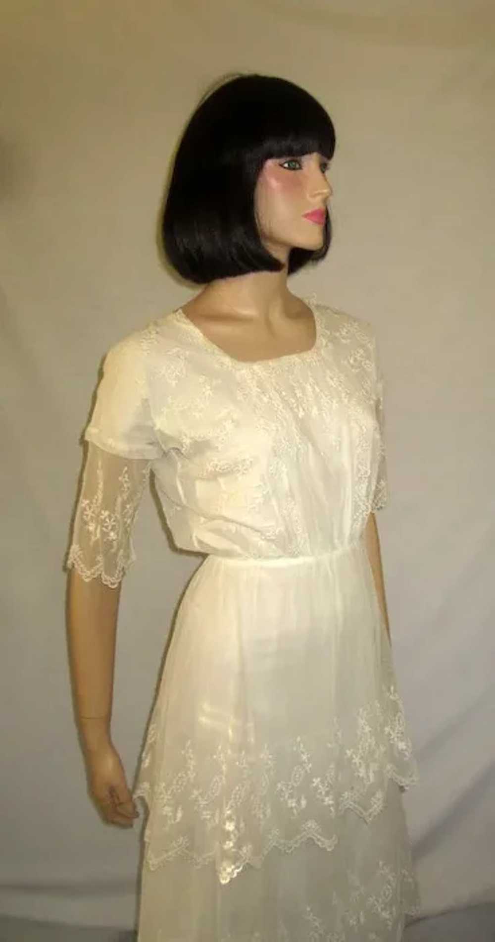 White Edwardian Tea Gown on Fine Netting with Tie… - image 6