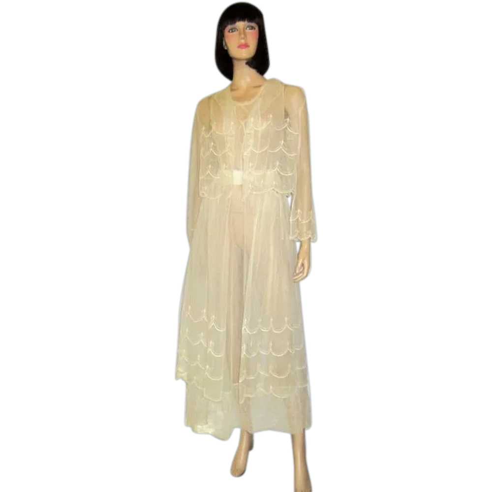 White Edwardian Tea Gown on Netting with Scallope… - image 1