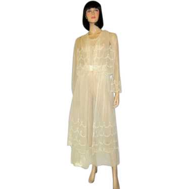 White Edwardian Tea Gown on Netting with Scallope… - image 1