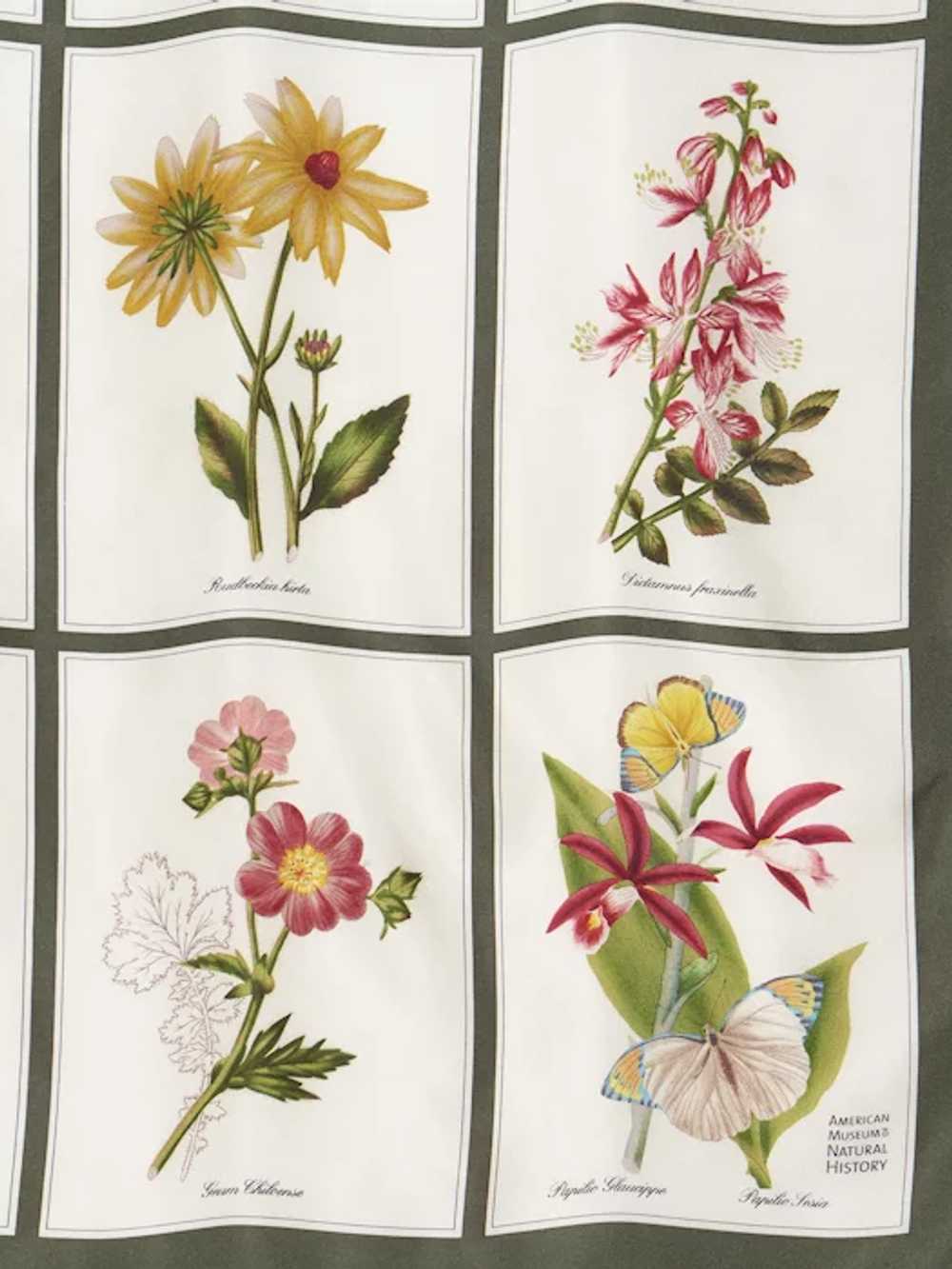 American Museum of Natural History Silk Scarf Flo… - image 2