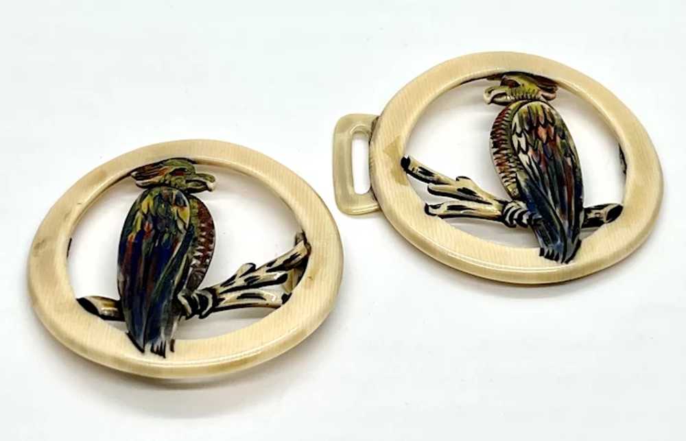 Impressive Incised and Painted Birds Celluloid Be… - image 2