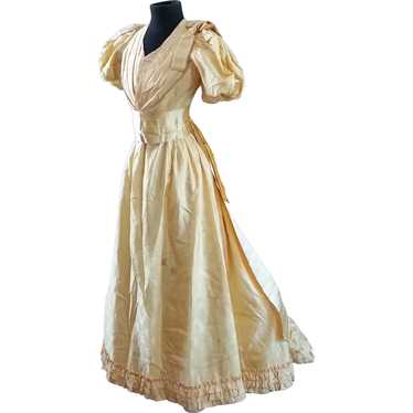 Gorgeous Circa 1890's Victorian Ball Gown in Lusci