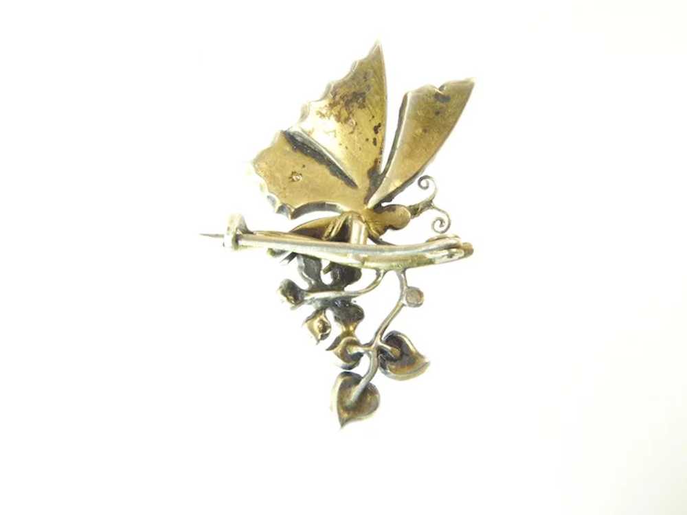 Victorian Sterling Silver and Paste Butterfly Bro… - image 3