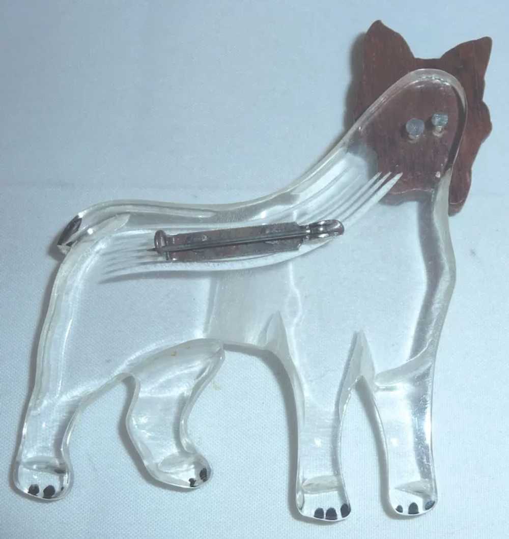 RARE Wood & Clear Lucite Figural Realistic BOXER … - image 3