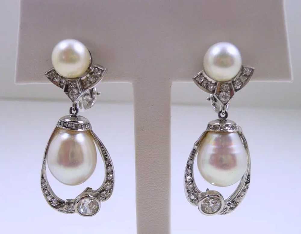Voluptuous Handcrafted South Sea Pearl Earrings c… - image 2
