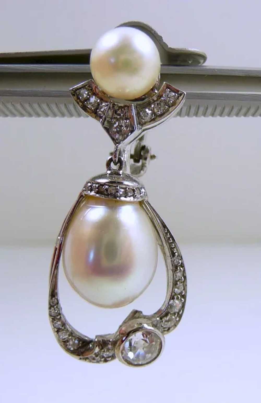 Voluptuous Handcrafted South Sea Pearl Earrings c… - image 3