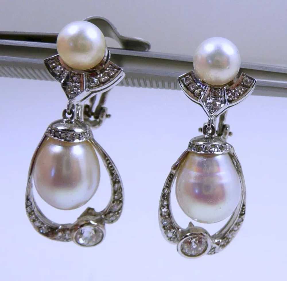 Voluptuous Handcrafted South Sea Pearl Earrings c… - image 6
