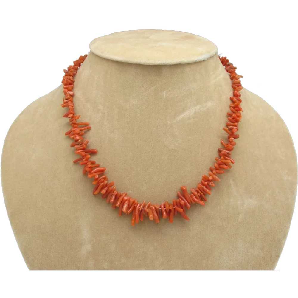 Delicate Branch Coral Necklace - image 1