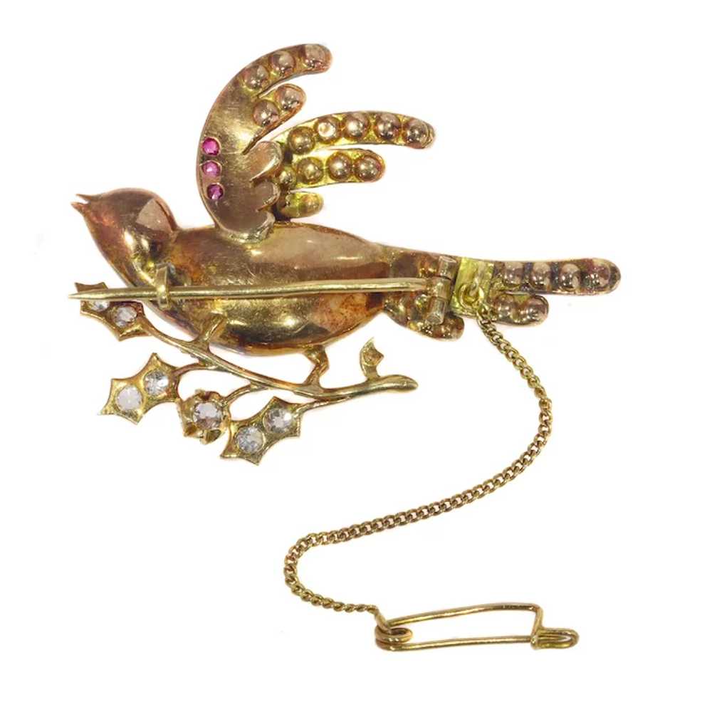 Vintage antique Victorian gold bird of paradise b… - image 5