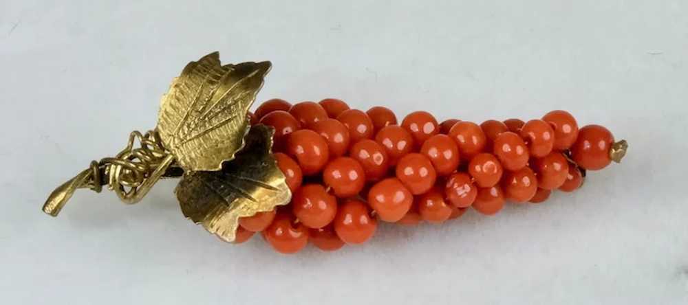 Quality Victorian Gold Salmon Coral Grapes Brooch - image 2
